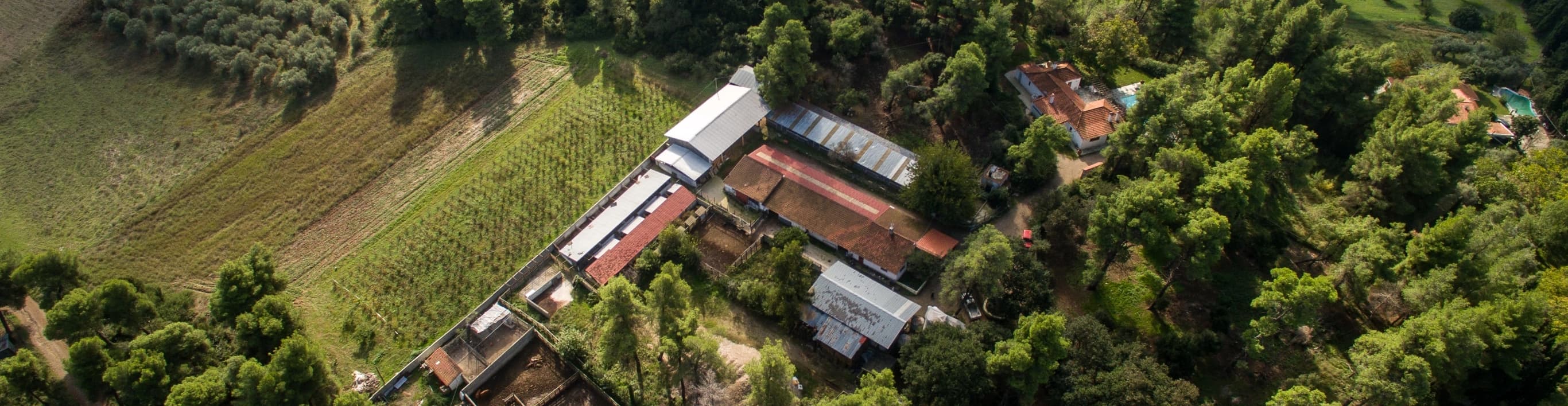 Farm