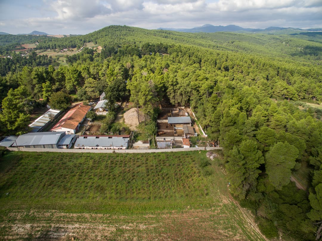 farm aerial